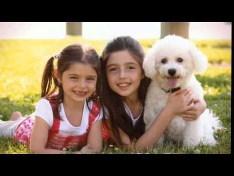 jessica's montage 9/26/15