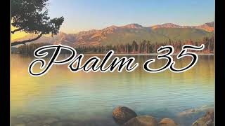 Psalm 35 - NLT Audiovisual