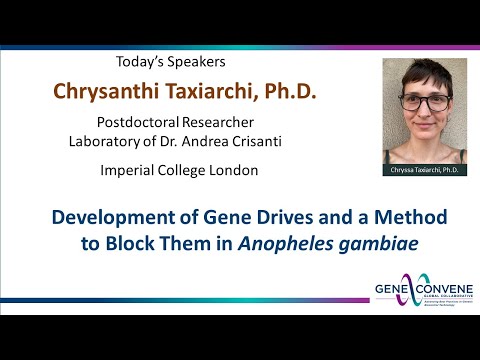 Development of gene drives and a method to block them in Anopheles gambiae.