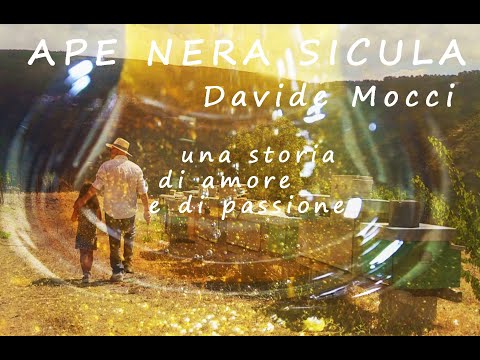 APE NERA SICULA #davidemocci DOC RAI GEO - DALLE ISOLE EOLIE al PARCO dei NEBRODI RAIPLAY RAI PLAY