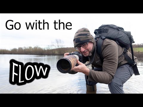 How to Make the Most of Dull Weather for Bird Photography