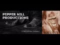 Pepper Hill Productions Walcott Lord Miller Georgia 20th Century Fox Television Netflix 2020