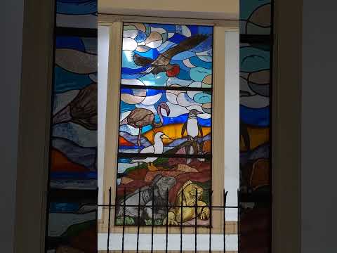 The True Saints of Galapagos: Wildlife in Glass