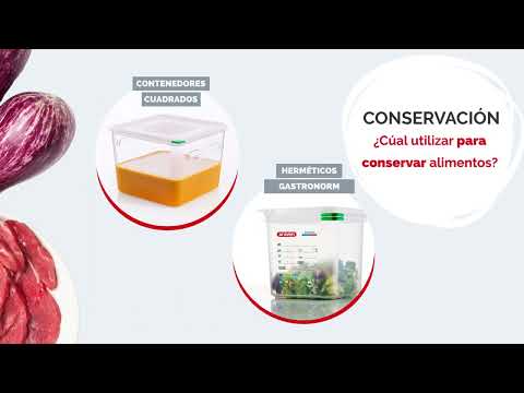 Contenedores de alimentos CUADRADOS vs. GASTRONORM