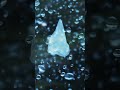 This Is Why Raindrops Aren't Shaped Like Raindrops