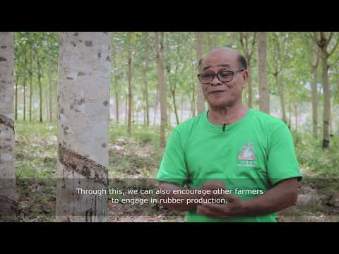 Higher income for rubber farmers