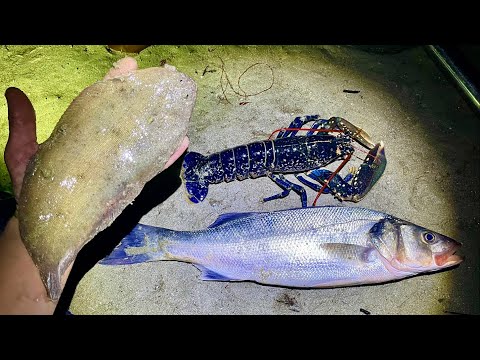 Amazing Coastal Foraging at Night  - Big Bass , Flatfish , Red Mullet , and more - Catch & Cook  