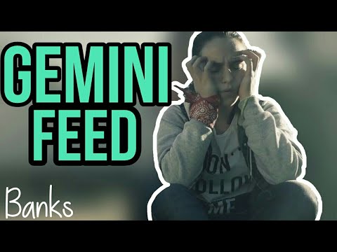 Gemini Feed - Banks || Cover || Rocio Ducasse