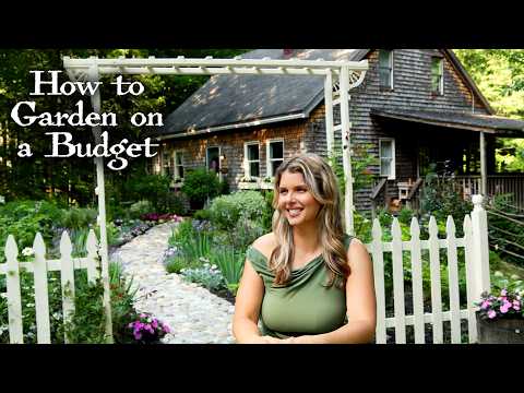 Create a Dream Garden on a Tiny Budget – 7 Must-Know Tips! + Designing a Whole Garden for ONLY $120