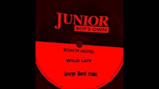 Roach Motel - Wild Luv (george morel remix)