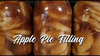 Water Bath Canning Homemade Apple Pie Filling