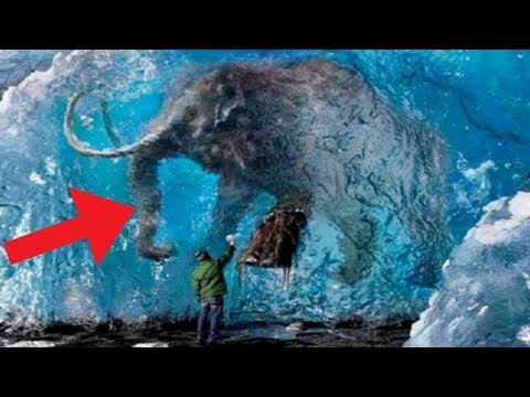 7 Amazing Frozen Animal Discoveries