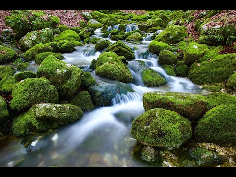 27. Impuls zur Woche - Evang. Kirchengemeinde DO-Scharnhorst - KW 38/2021