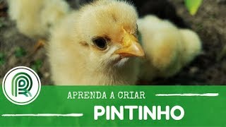 Miniatura do vídeo