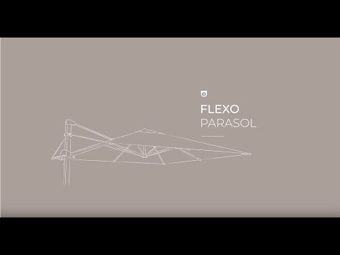 Видеообзор