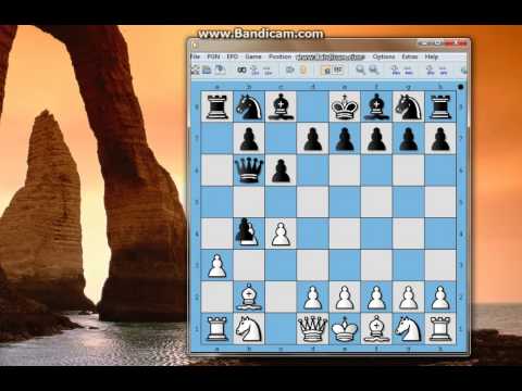 Brzopletost šahovska loša mana  -  BRICHINOVA vs ALEXANDROVA -Poljsko otvaranje # 165 sah i mat