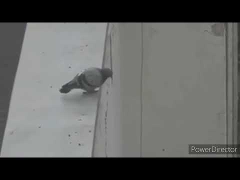 the Gods of Olympus abandoned me