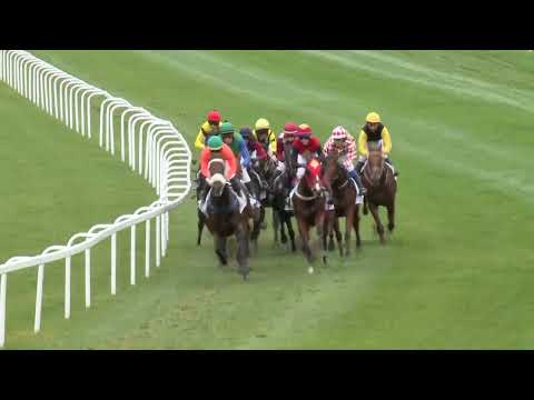 2022.11.06. 05. futam - ARQANA - KÉTÉVESEK KRITÉRIUMA (HUN Gd-3)