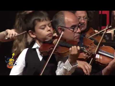 Teo Gertler - violin