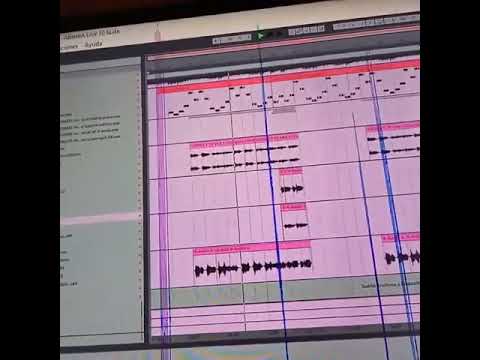 PREDIEL VIENES Y TE VAS