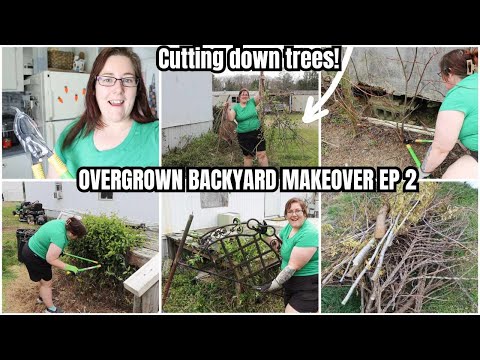 CLEARING OVERGROWN YARD! CUTTING DOWN TREES // HOME REFRESH BACKYARD MAKEOVER // DIY PROJECTS