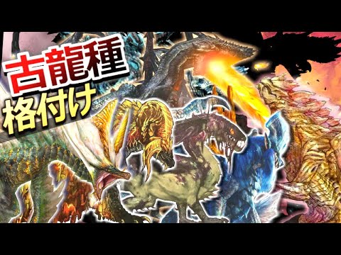 アレクトリオン・マクロコッカム