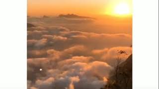 Nature with sunrise Good morning status video download whatsapp Nature Status video NATURE ADDICTED