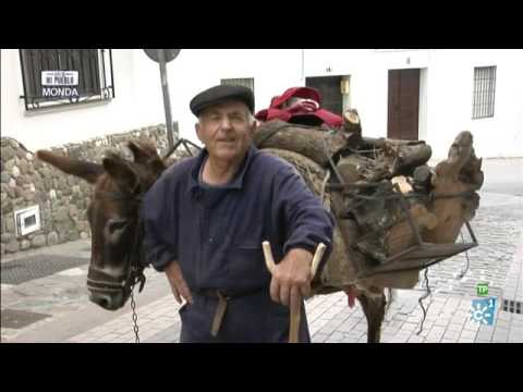 Este es mi pueblo | Monda (Málaga)