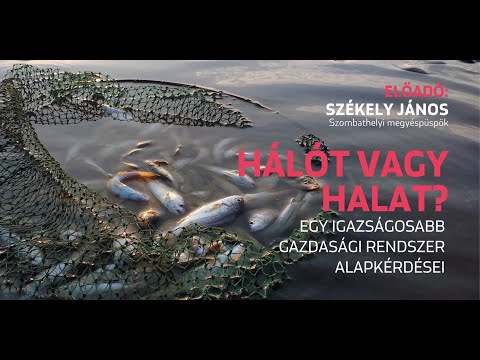 elveszíti a hasi zsírt 31 nap alatt hogyan lehet fogyni házasság közben