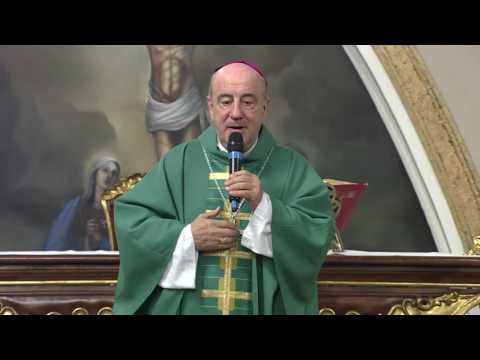 Homilia Dom Murilo Krieger, scj - 18/07/17 - Deixar-nos conduzir por Deus