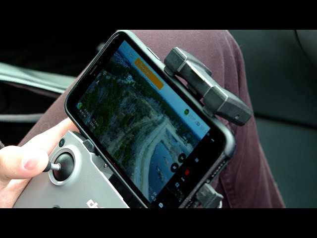 Прогулки по лесу грозят штрафом