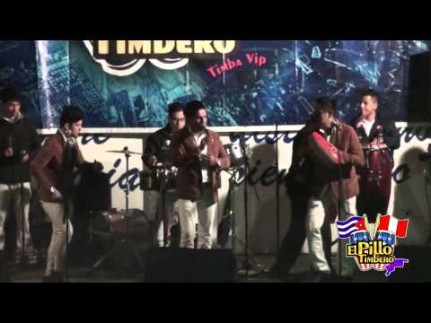 SALSARA - AMOR Y DOLOR (PILLO TIMBERO IV) AF PRODUCCIONES HD