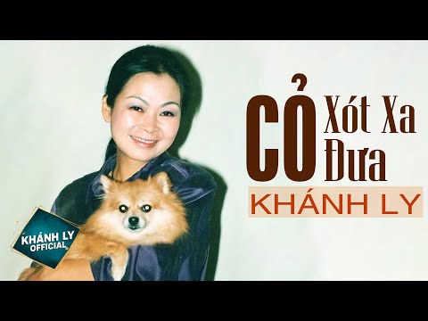 CỎ XÓT XA ĐƯA