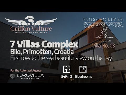 Griffon Vulture - Eurovilla - Primošten