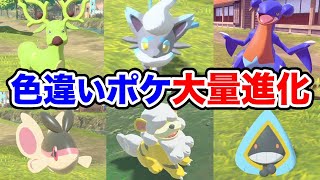 色違いポケモン進化させると…!?アルセウスの色ポケ大量進化【Pokémon LEGENDSアルセウス女性実況】ヒスイゾロア/ヒスイガーディ/ガブリアス/アヤシシの色違い