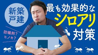 新築戸建の正しいシロアリ対策｜防蟻剤やヒノキだけでは不十分