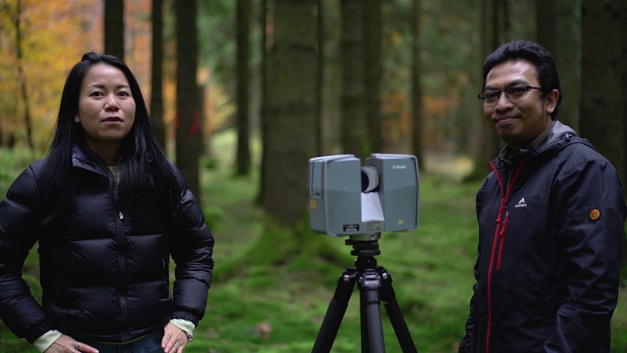 Terrestrial Laser Scanning (TLS) of forests