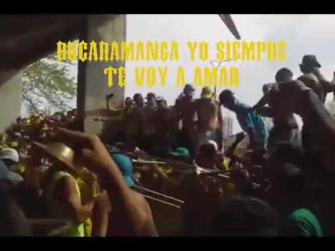 "Bucaramanga es, es el veneno mas mortal" Barra: Fortaleza Leoparda Sur &bull; Club: Atlético Bucaramanga