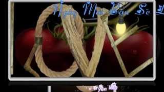 valentine và nhưng câu chúc ý nghĩa