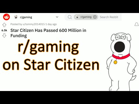 3.19.1 What normal gamers think about Star Citizen