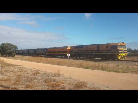 Aurizon grain train at Two Wells South Australia
