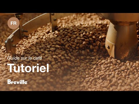 miniature vidéo