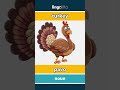 turkey - pavo video thumbnail