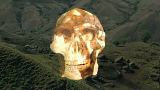 The First Humans