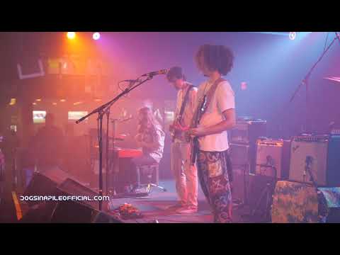 Dogs In A Pile- 7/18/19  "Creep"