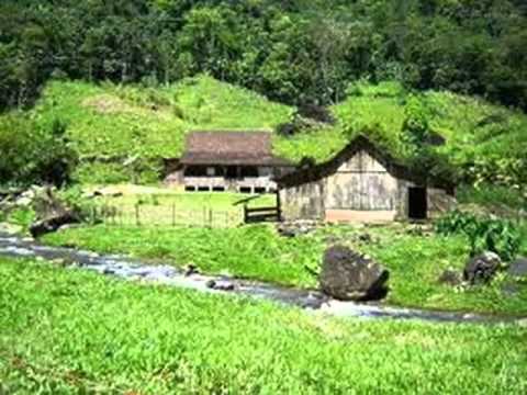 Ellis Regina   casa no campo   biollloren