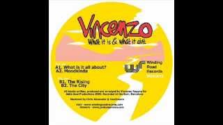 Vincenzo  -  What is it all about?