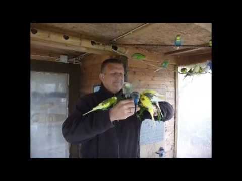 2017 05 04 Besuch aus Wilhelmshaven