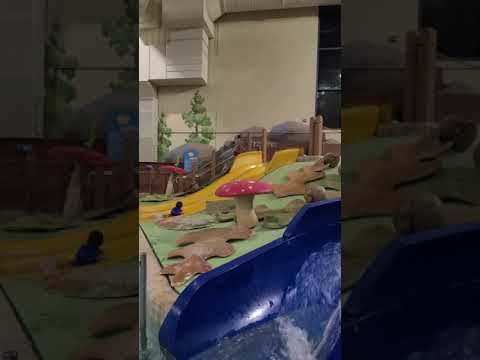 Beckham Great Wolf 1