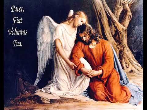 22° Ora dalle 2 alle 3 del pomeriggio